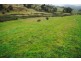 Lot 45 Bowen Vista Estate, Lithgow NSW 2790