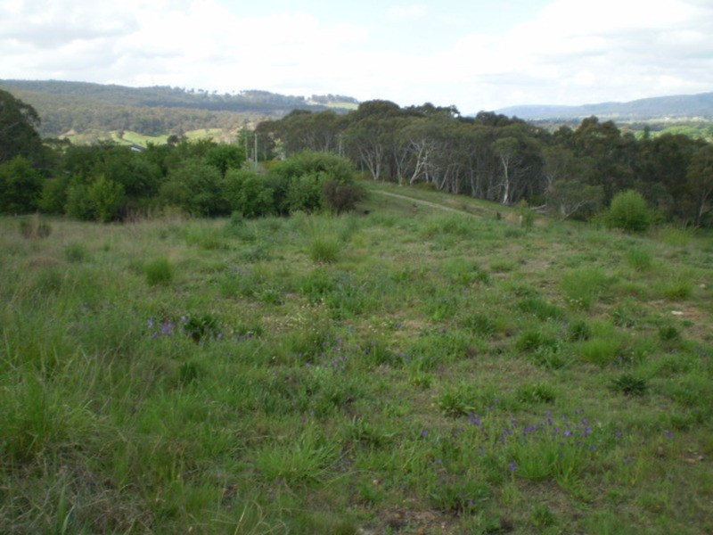 81 Henning Crescent, Wallerawang NSW 2845