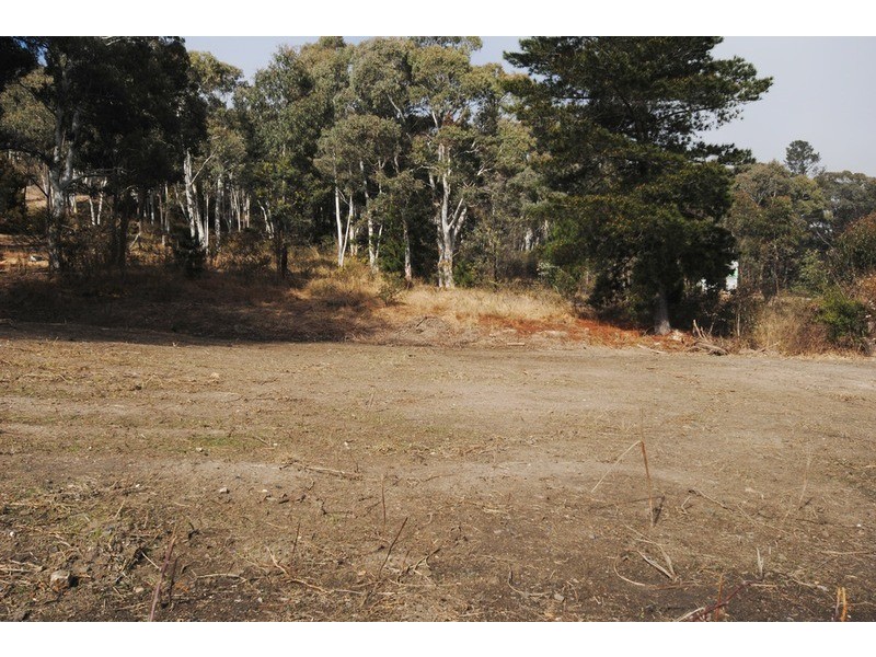 Lot 23 King Street, Cullen Bullen NSW 2790