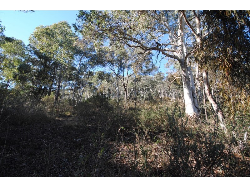 Lot 23 King Street, Cullen Bullen NSW 2790