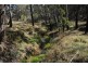 10 Carsons Siding Road, Cullen Bullen NSW 2790
