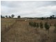 10 George Parade, Portland NSW 2847
