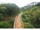 7 Forest Street, Portland NSW 2847