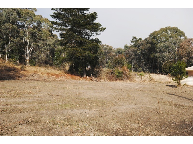 Lot 23 King Street, Cullen Bullen NSW 2790