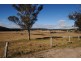 3885 Castlereagh Highway, Ben Bullen NSW 2790