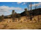 3885 Castlereagh Highway, Ben Bullen NSW 2790