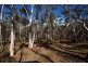 3885 Castlereagh Highway, Ben Bullen NSW 2790