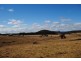 3885 Castlereagh Highway, Ben Bullen NSW 2790