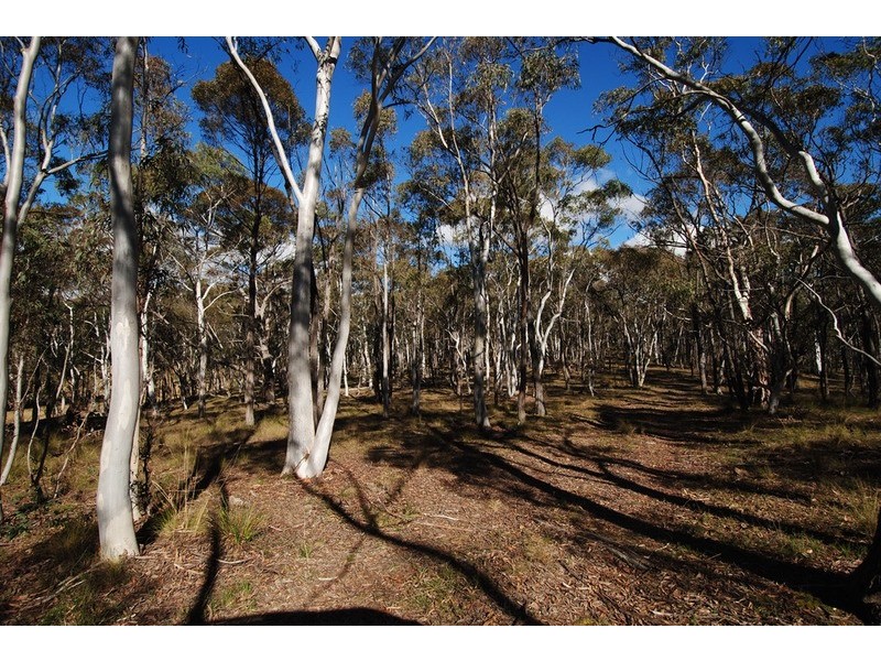 3885 Castlereagh Highway, Ben Bullen NSW 2790