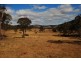 3885 Castlereagh Highway, Ben Bullen NSW 2790