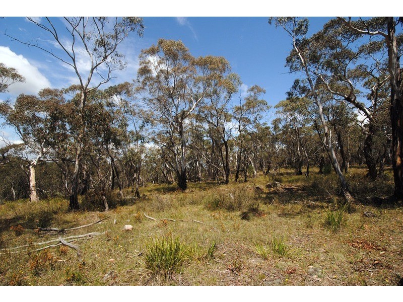 343 Browns Gap Road, Hartley NSW 2790