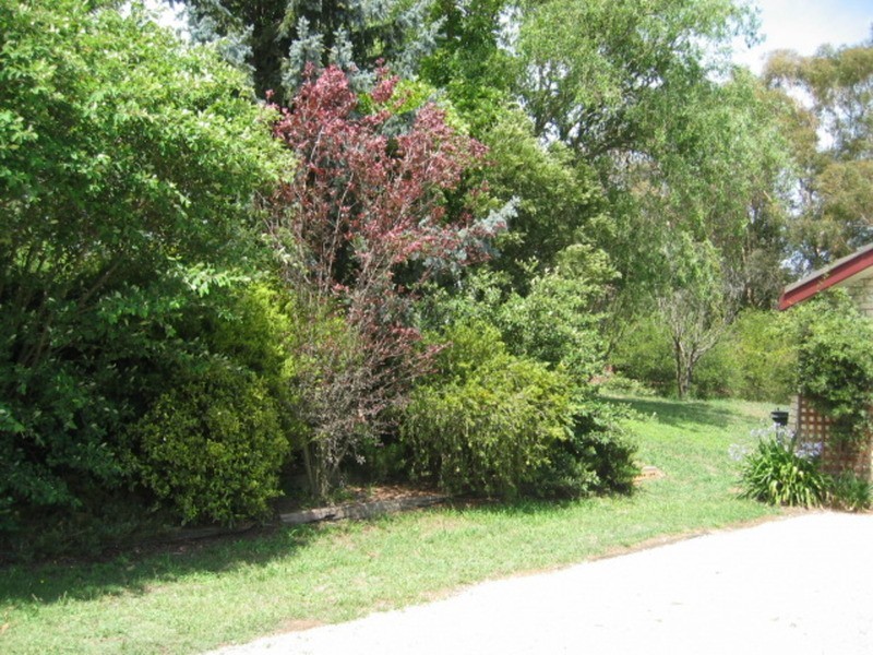 313 Cullen Bullen Road, Portland NSW 2847