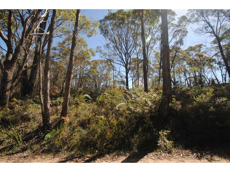 325 Chifley Road, Dargan NSW 2786