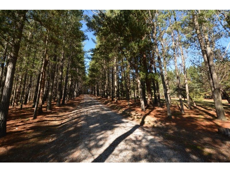 167 Sunny Corner Road, Portland NSW 2847