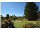 167 Sunny Corner Road, Portland NSW 2847