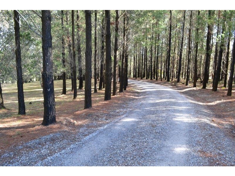 167  Sunny Corner Road, Portland NSW 2847