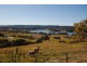 4 Forest Ridge Drive, Wallerawang NSW 2845