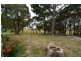 1202 Rydal Hampton Road, Rydal NSW 2790