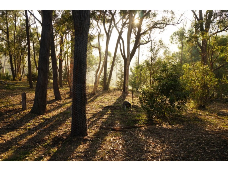 85d Cranbrook Park Road, Hartley NSW 2790