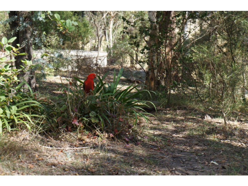 85d Cranbrook Park Road, Hartley NSW 2790