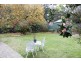 9 Brisbane Street, Lithgow NSW 2790