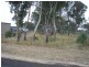 Lot 1115 Myrtle Drive, Armidale NSW 2350