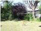 Armidale NSW 2350
