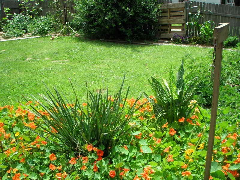 1-2/15 Golgotha Street, Armidale NSW 2350