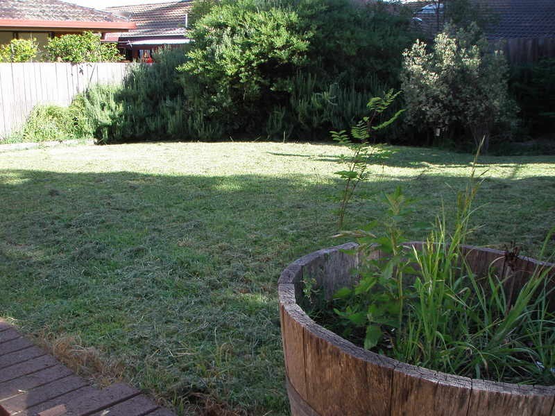 Armidale NSW 2350
