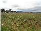 12 Netherton Park Avenue, Armidale NSW 2350