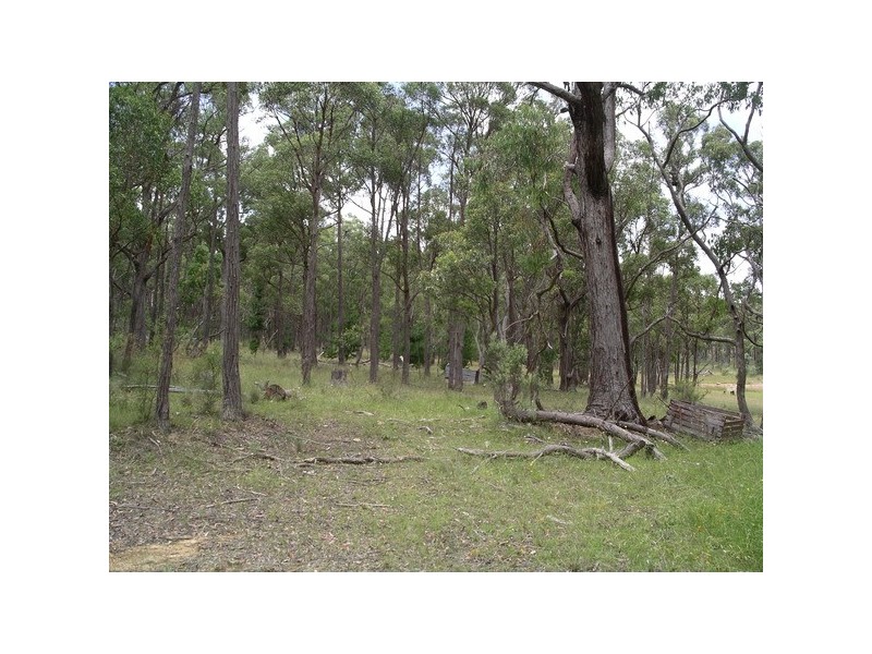 125 Kareela Road, Invergowrie NSW 2350