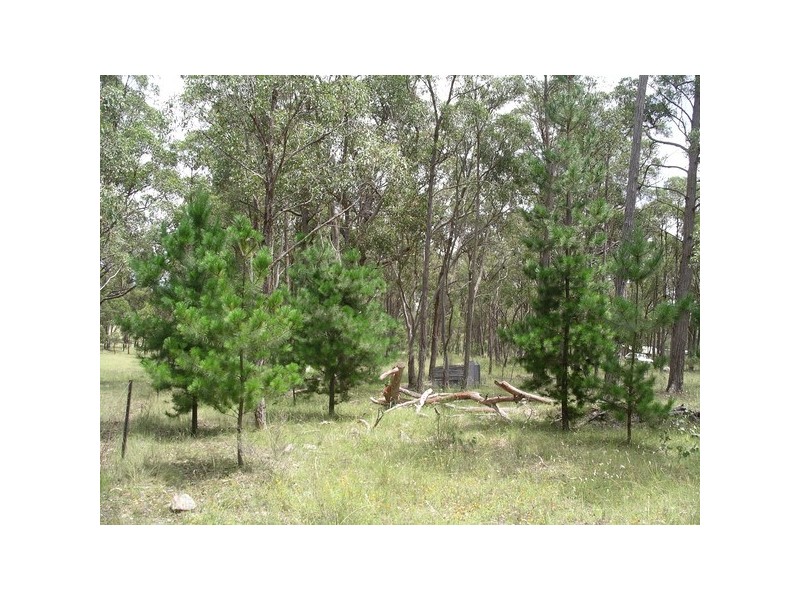 125 Kareela Road, Invergowrie NSW 2350