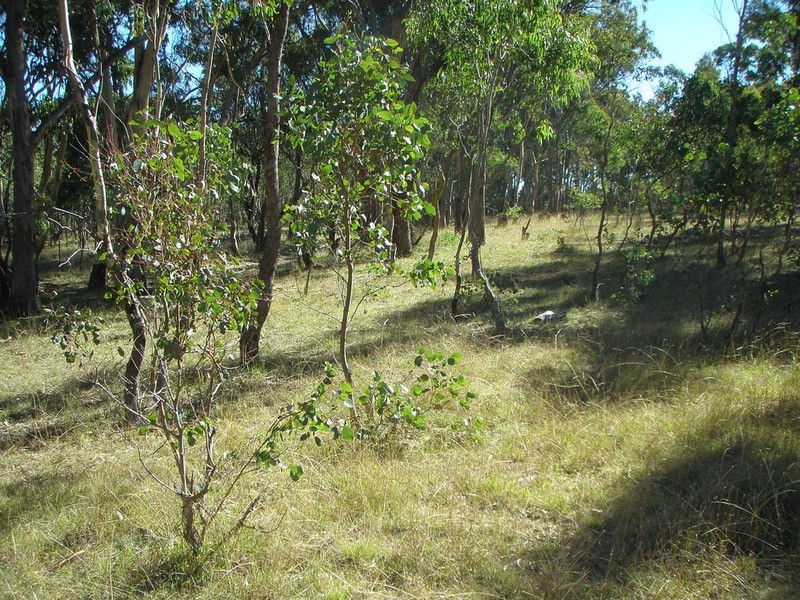0 Hillards Road, Armidale NSW 2350
