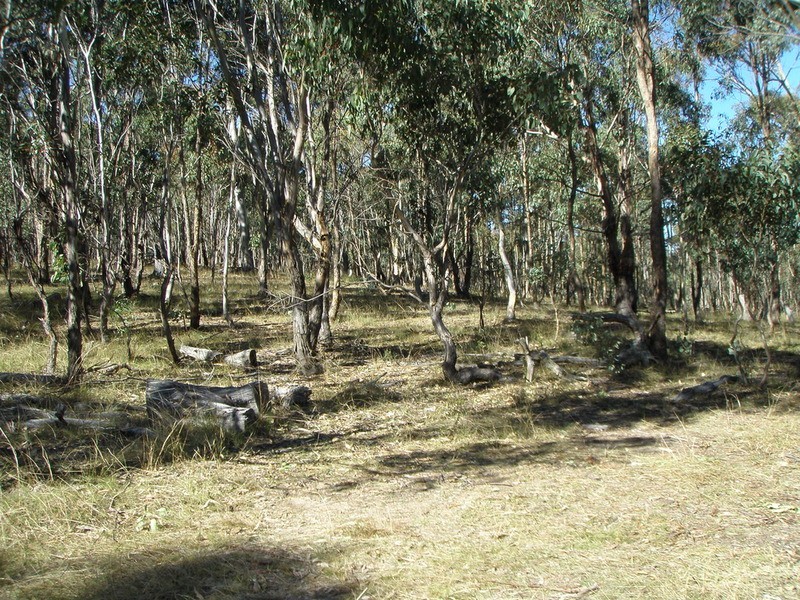0 Hillards Road, Armidale NSW 2350