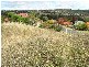 10  G F Nott Place, Armidale NSW 2350