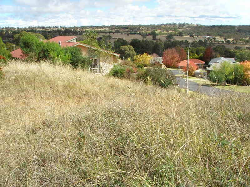 10  G F Nott Place, Armidale NSW 2350