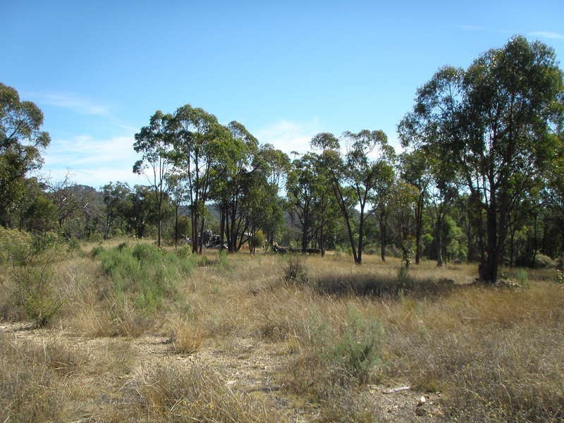 77 Rocklea Road, Uralla NSW 2358