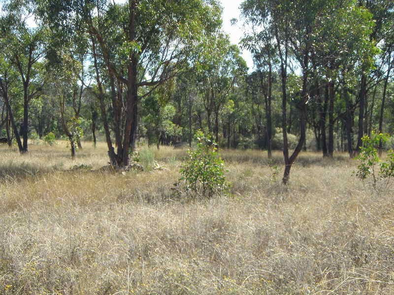 77 Rocklea Road, Uralla NSW 2358