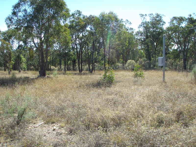 77 Rocklea Road, Uralla NSW 2358