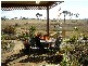 Saumarez Ponds NSW 2350