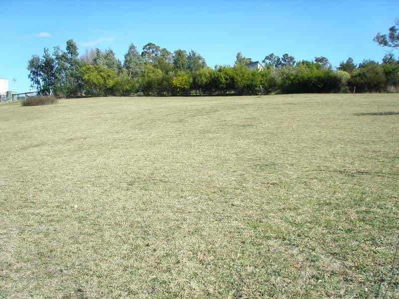 81 / 20 Edgar Street, Armidale NSW 2350