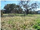 Armidale NSW 2350