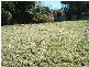 Armidale NSW 2350