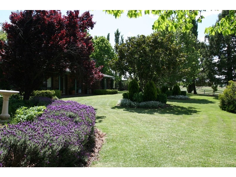 Armidale NSW 2350