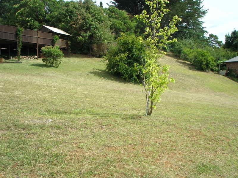 Armidale NSW 2350