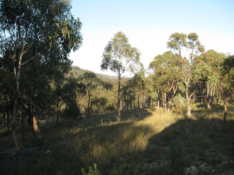 Armidale NSW 2350