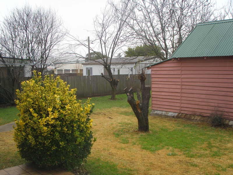 109 Ohio Street, Armidale NSW 2350