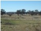 Armidale NSW 2350
