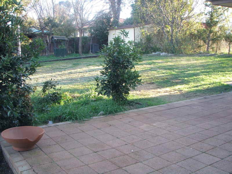 Armidale NSW 2350