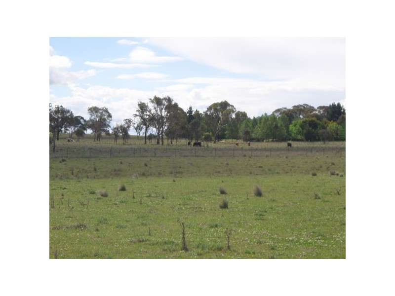 182 Kellys Plains Road, Armidale NSW 2350